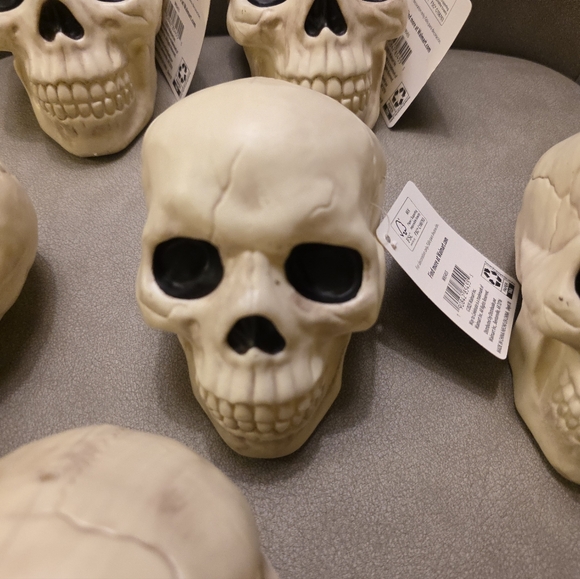 Way To Celebrate Set of Six Plastic Skull Decor Pieces Walmart 2025 Halloween - Picture 5 of 11